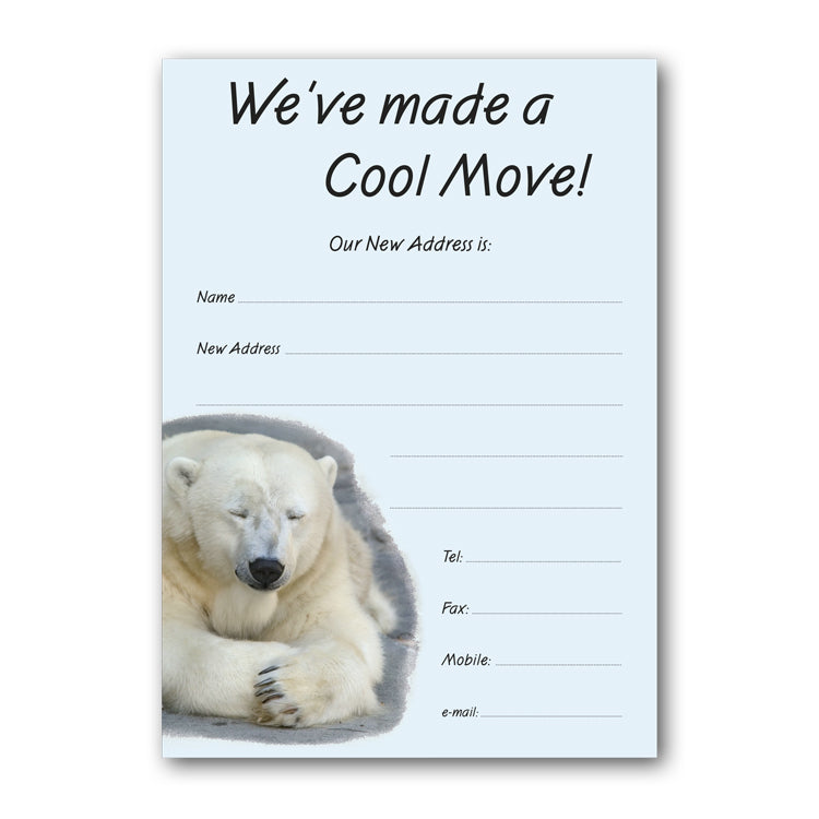 Cool Move Polar Bear Notelets from Dormouse Cards