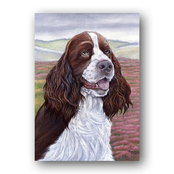 Pack of 5 A6 English Springer Spaniel Notelets from Dormouse Cards