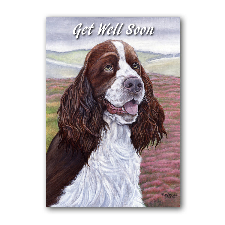 English Springer Spaniel Get Well Soon Card from Dormouse Cards