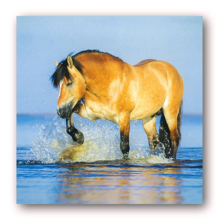 Byelorussian Harness Horse Birthday Greetings Card from Dormouse Cards