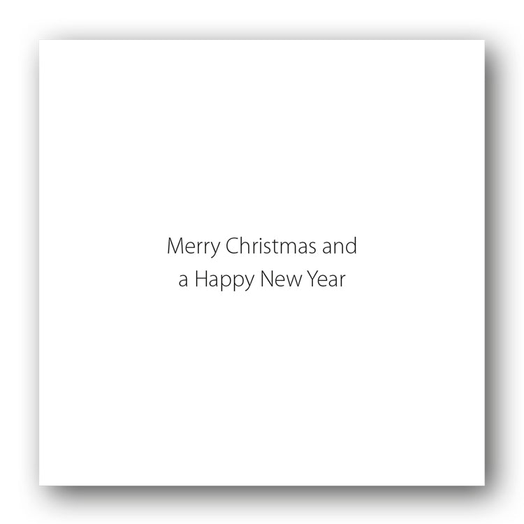 Polar Bear Christmas Cards from Dormouse Cards
