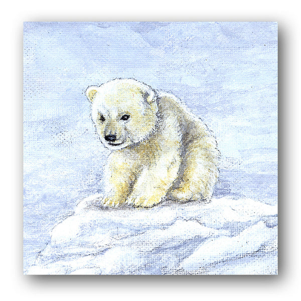 Polar Bear Christmas Cards from Dormouse Cards