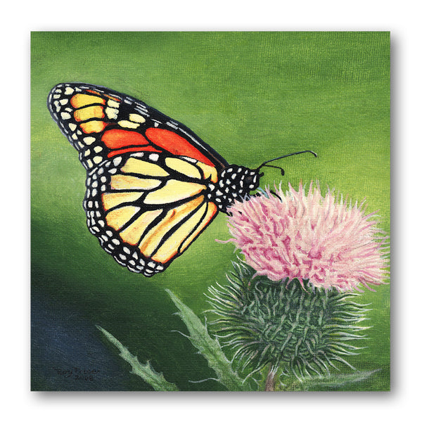 Butterfly Greetings Card from Dormouse Cards