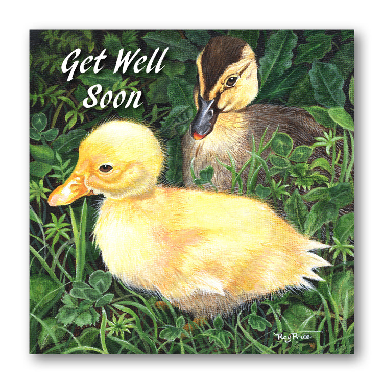 Ducks Get Well Soon Card from Dormouse Cards