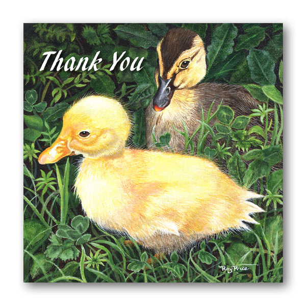 Ducks Thank You Card from Dormouse Cards