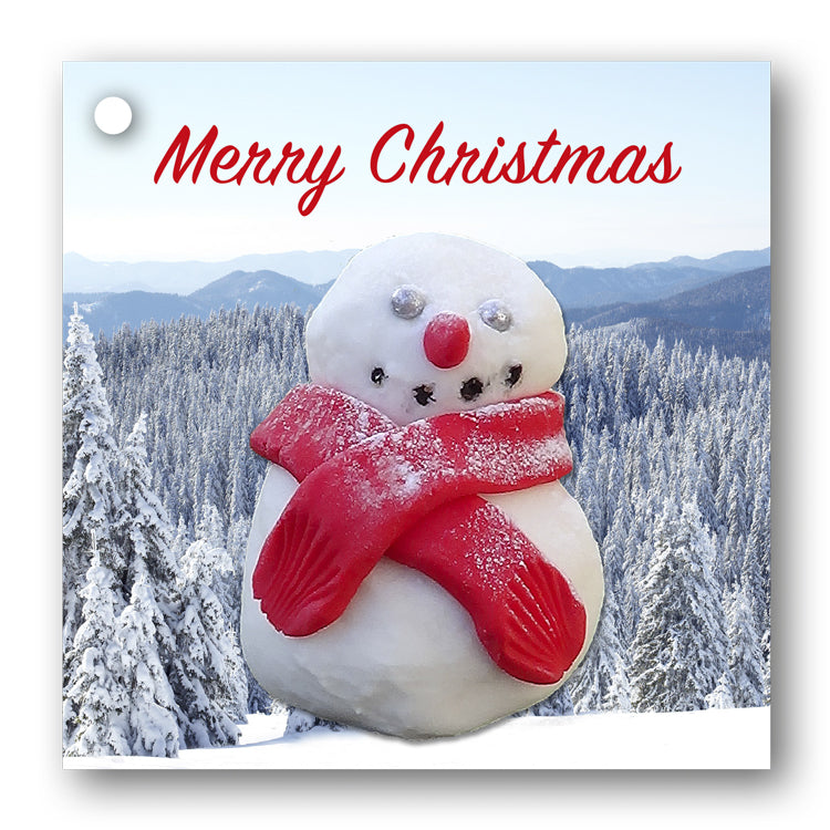 Funny Snowman Gift Tags from Dormouse Cards