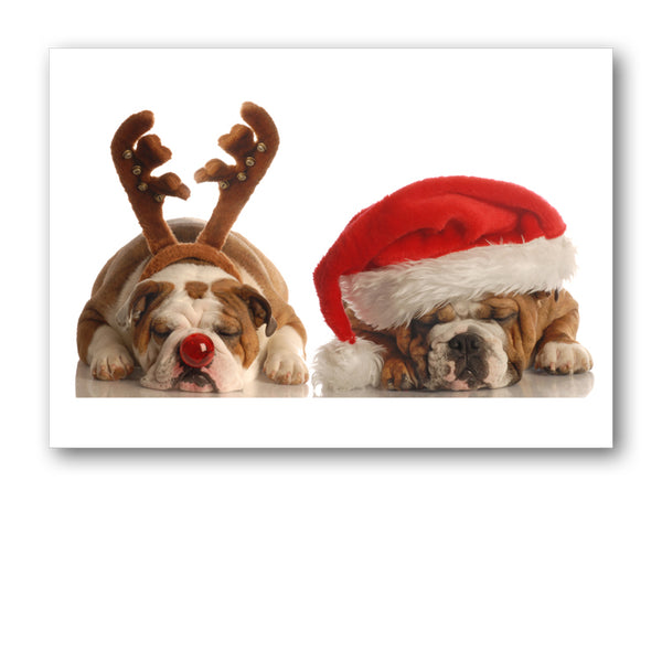 Funny Bulldog Christmas Card