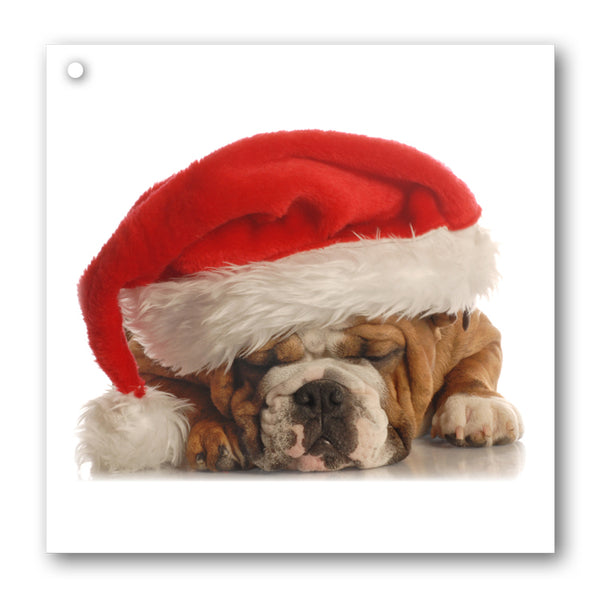 Pack of 10 Funny Bulldog in Santa Hat Gift Tags from Dormouse Cards