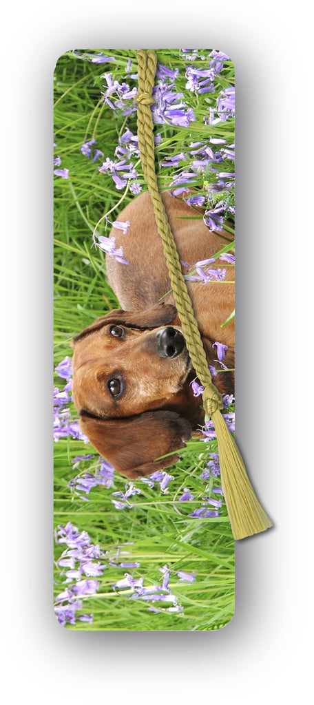 Speck Dachshund in Bluebell Wood Bookmark from Dormouse Cards