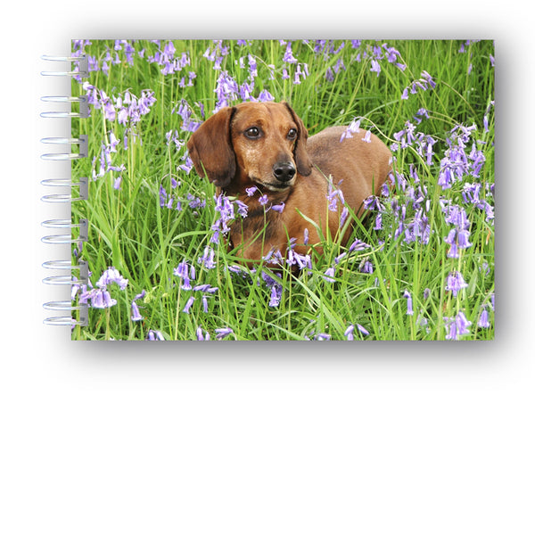 Speck the Dachshund in Bluebell Wood A6 Wire Bound Notebook from Dormouse Cards