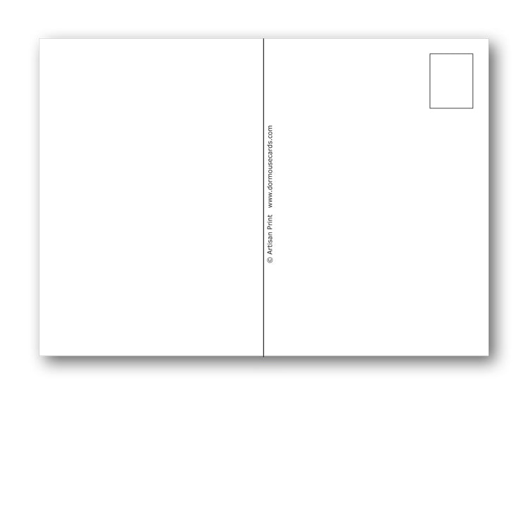 Pack of 10 Peregrine Falcon Postcards from Dormouse Cards