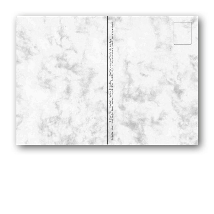 Otter Marble Postcards from Dormouse Cards